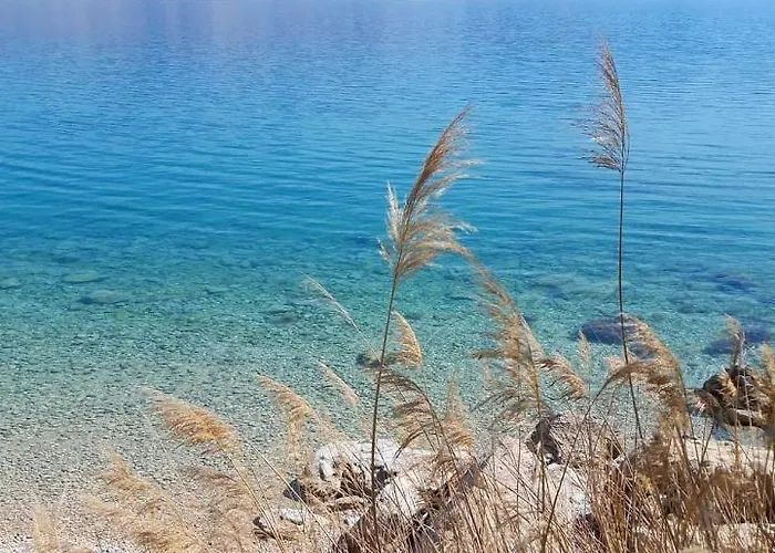 Iva - 50 M From The Sea-balcony Apartament *